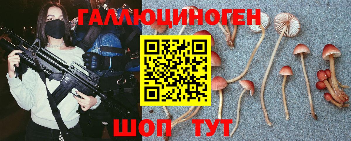 Галлюциногенные грибы мухоморы  Вход с VPN  Псилоцибиновые грибы Cubensis  Тула 